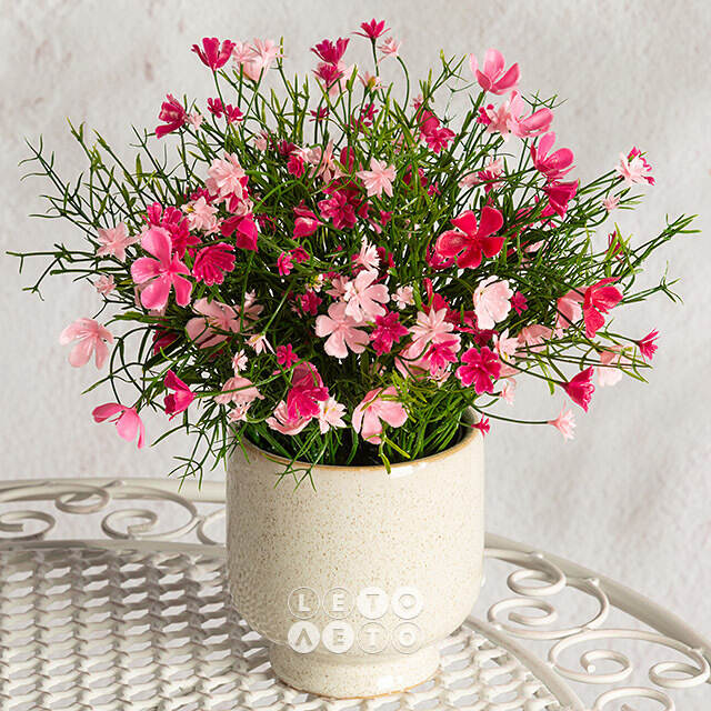 Искусственные цветы в горшке Флоксы нежно-розовые 23 см Summer Deco