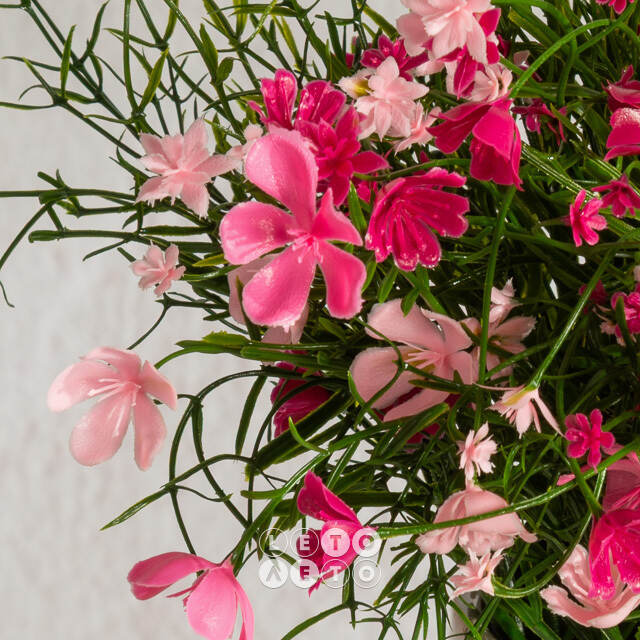 Искусственные цветы в горшке Флоксы нежно-розовые 23 см Summer Deco