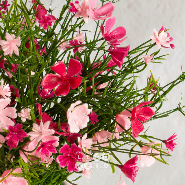 Искусственные цветы в горшке Флоксы нежно-розовые 23 см Summer Deco