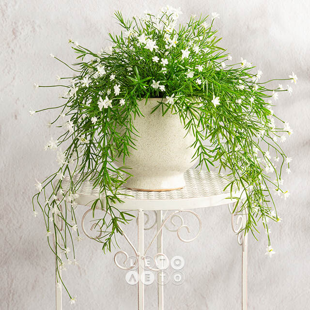 Искусственный подвесной куст Midleton Stone 43 см, белый Summer Deco