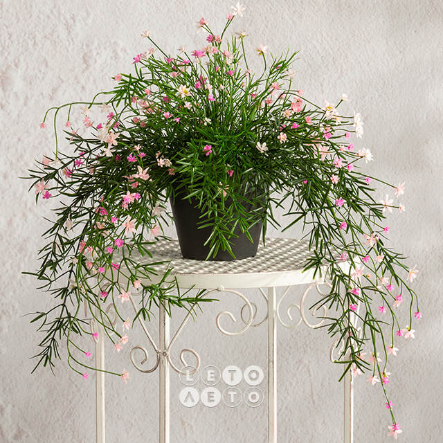Подвесной искусственный цветок Midleton Stone 43 см, розовый Summer Deco