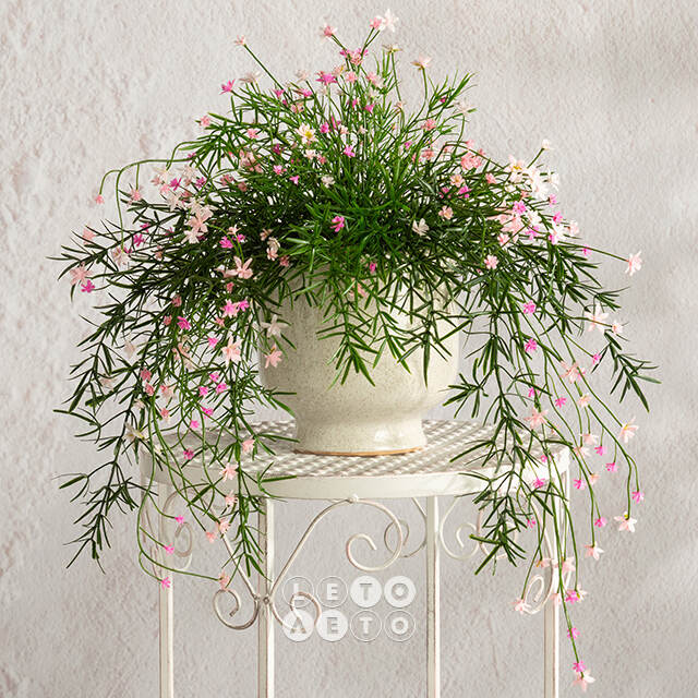 Подвесной искусственный цветок Midleton Stone 43 см, розовый Summer Deco