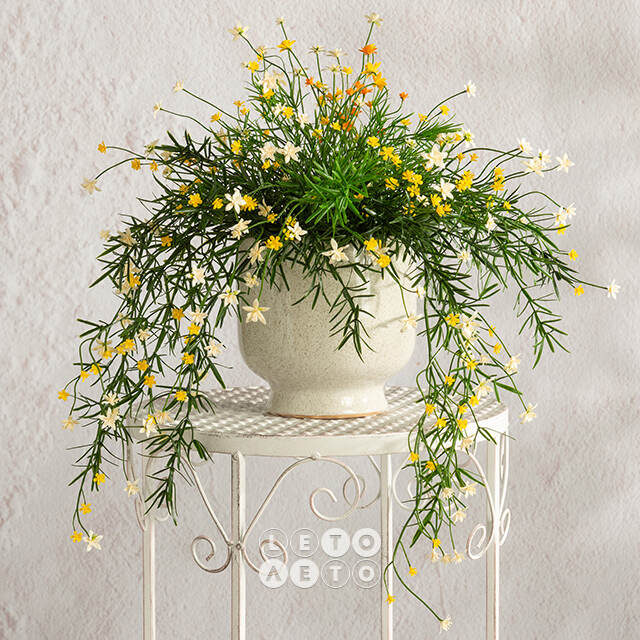 Подвесной искусственный цветок Midleton Stone 43 см, желтый Summer Deco