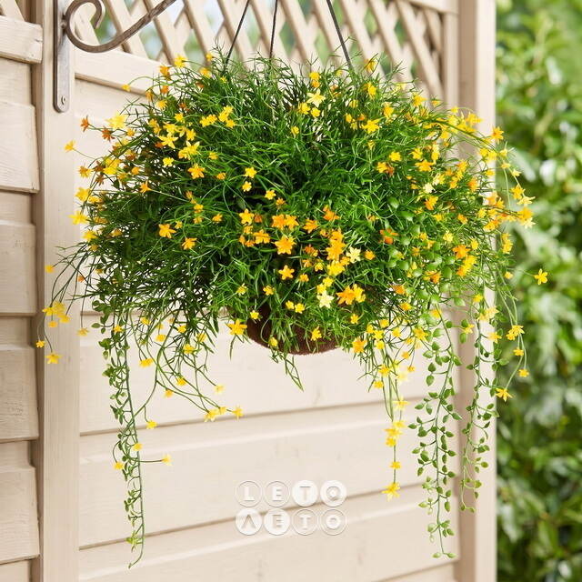Искусственный цветок в кашпо Матерра - Аромат Лета 43 см Summer Deco