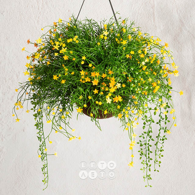 Искусственный цветок в кашпо Matera - Аромат Лета 43 см Summer Deco