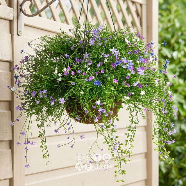 Искусственный цветок в кашпо Матерра - Нежный Сонет 43 см Summer Deco