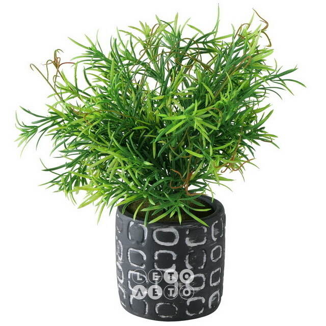 Искусственное растение в горшке Boxwood 29 см черный Boltze
