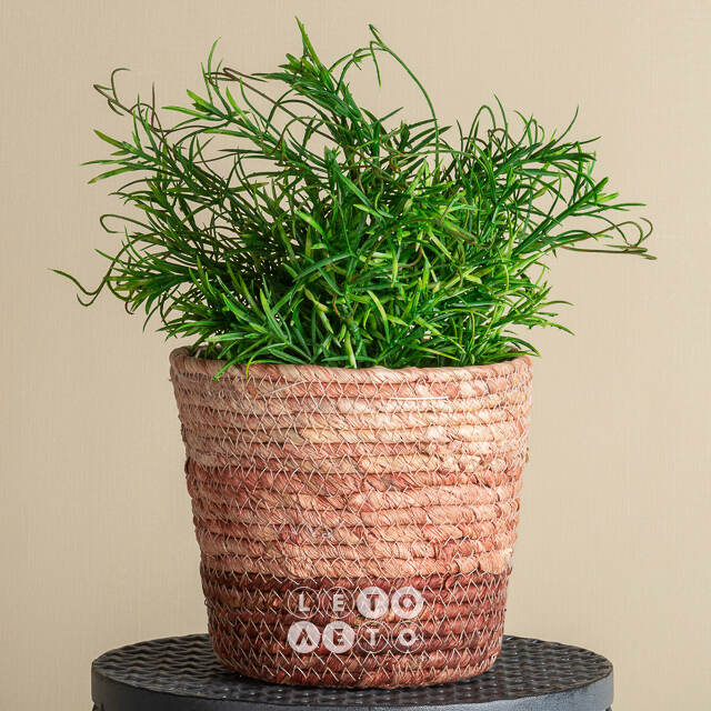 Искусственное растение в горшке Boxwood 29 см черный Boltze