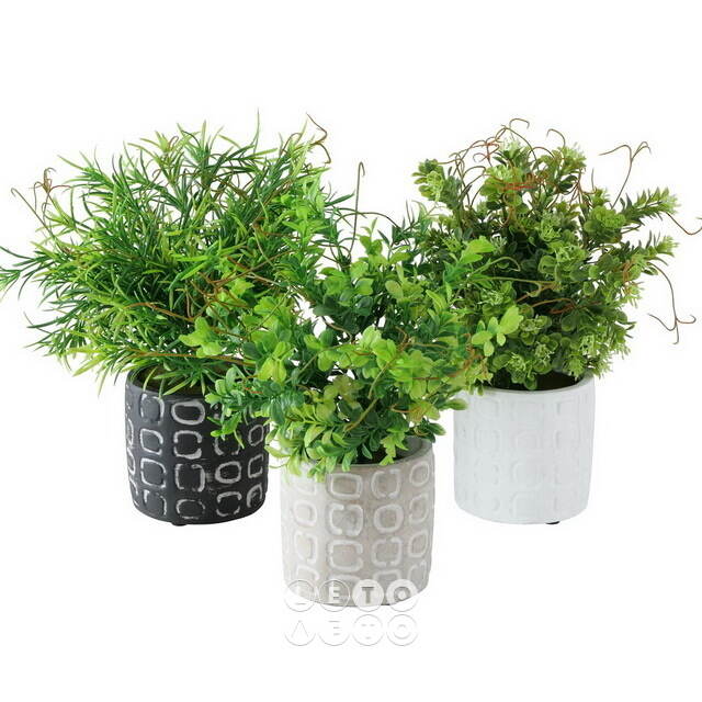Искусственное растение в горшке Boxwood 29 см черный Boltze