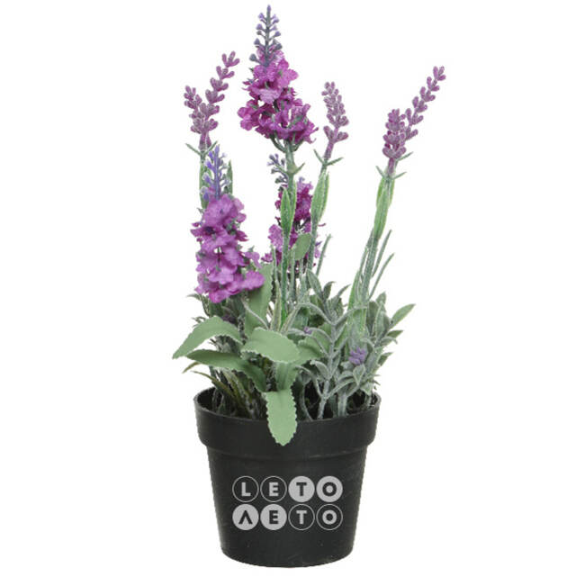 Искусственный цветок в горшке Лаванда Loddon Pink 25 см Kaemingk