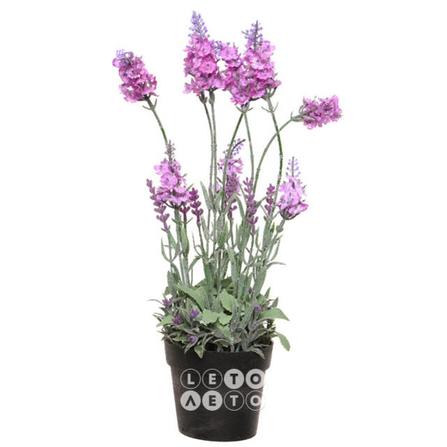 Искусственный цветок Лаванда Loddon Pink в горшке 38 см Kaemingk