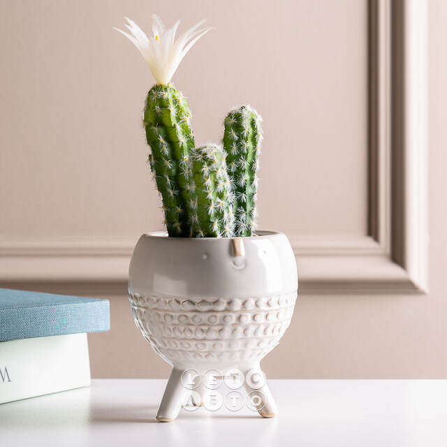 Искусственное растение в горшке Кактус White Pearl 24 см Kaemingk