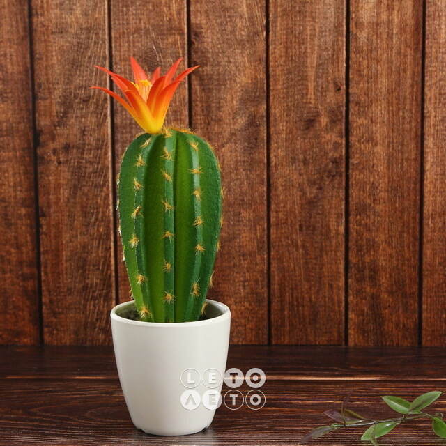 Искусственное растение в горшке Кактус Red Crown 24 см Kaemingk