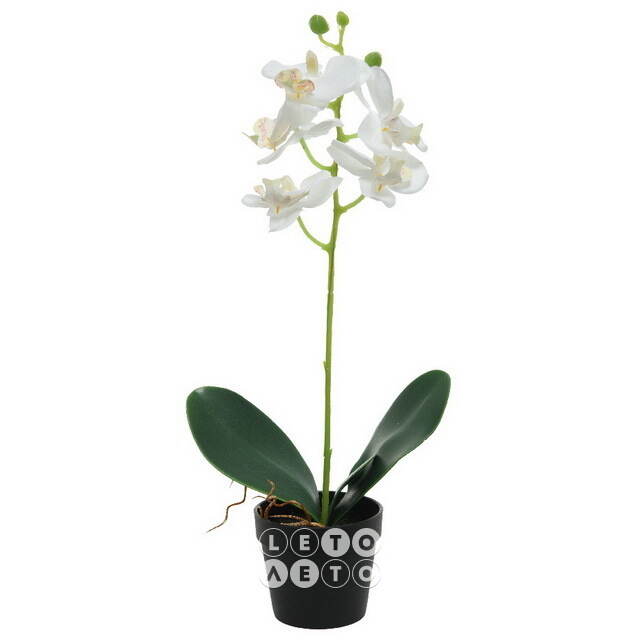 Искусственная орхидея в горшке Dominica White 40 см Kaemingk