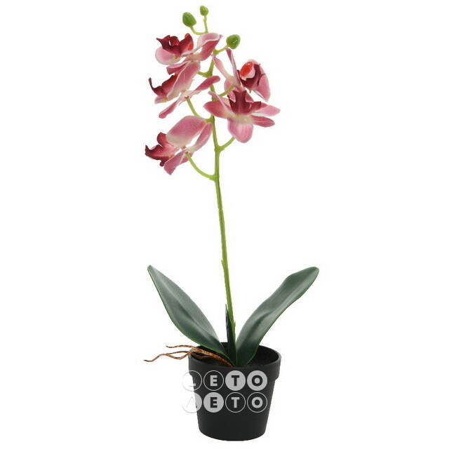 Искусственная орхидея в горшке Dominica Pink 40 см Kaemingk