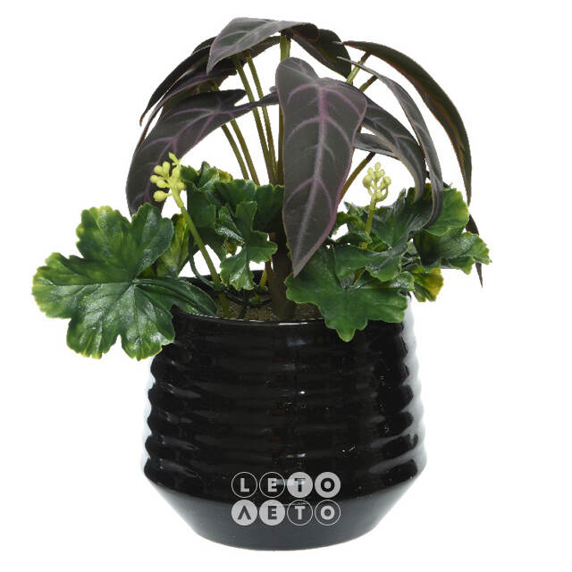 Искусственное растение в горшке Alocasia Purple 25 см Kaemingk