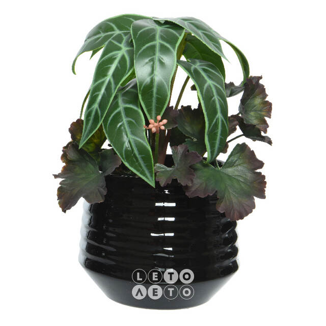 Искусственное растение в горшке Alocasia Green 25 см Kaemingk