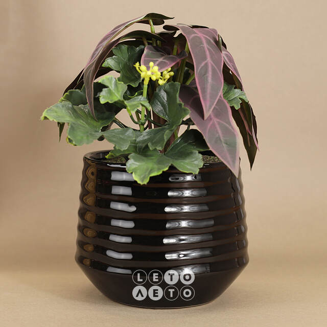 Искусственное растение в горшке Alocasia Purple 25 см Kaemingk