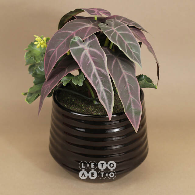 Искусственное растение в горшке Alocasia Purple 25 см Kaemingk