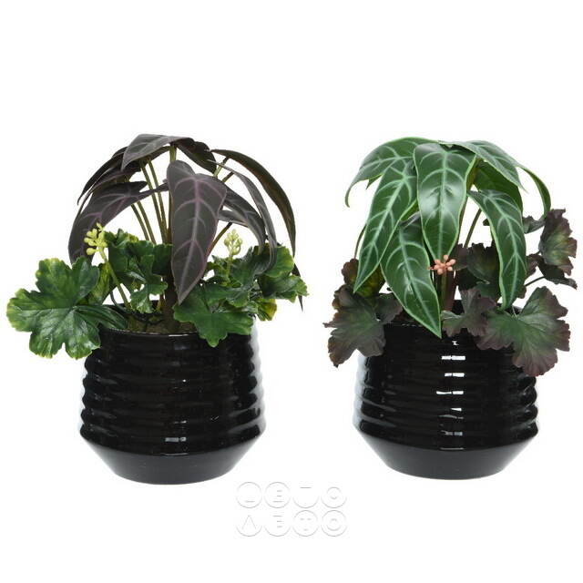 Искусственное растение в горшке Alocasia Purple 25 см Kaemingk