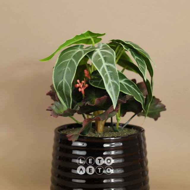Искусственное растение в горшке Alocasia Green 25 см Kaemingk