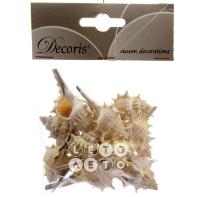 Декоративные ракушки Морские, с шипами Kaemingk