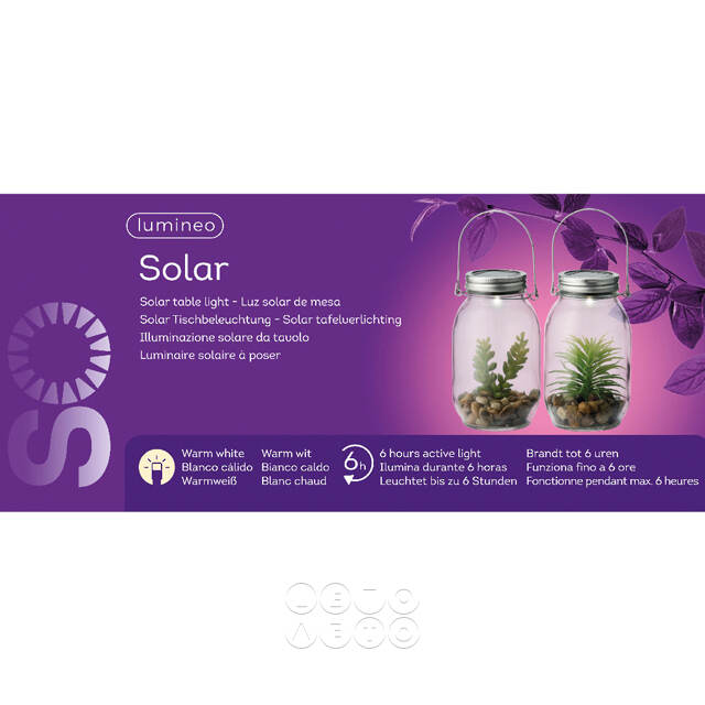 Подвесной светильник-банка на солнечной батарее Solar Флоранс с Агавой 18 см, IP44 Kaemingk