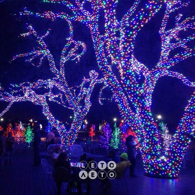 Клип Лайт - Спайдер Quality Light 30 м, 300 разноцветных LED ламп, с мерцанием, прозрачный ПВХ, IP44 BEAUTY LED