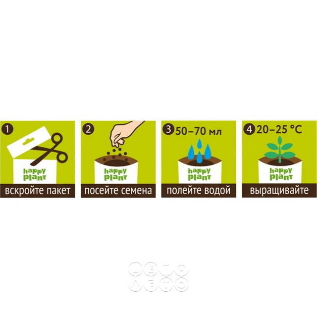 Набор для выращивания Астра звездная Happy Plant