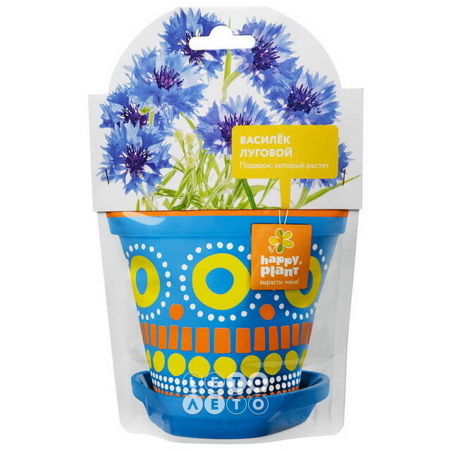 Набор для выращивания Василек Луговой Happy Plant