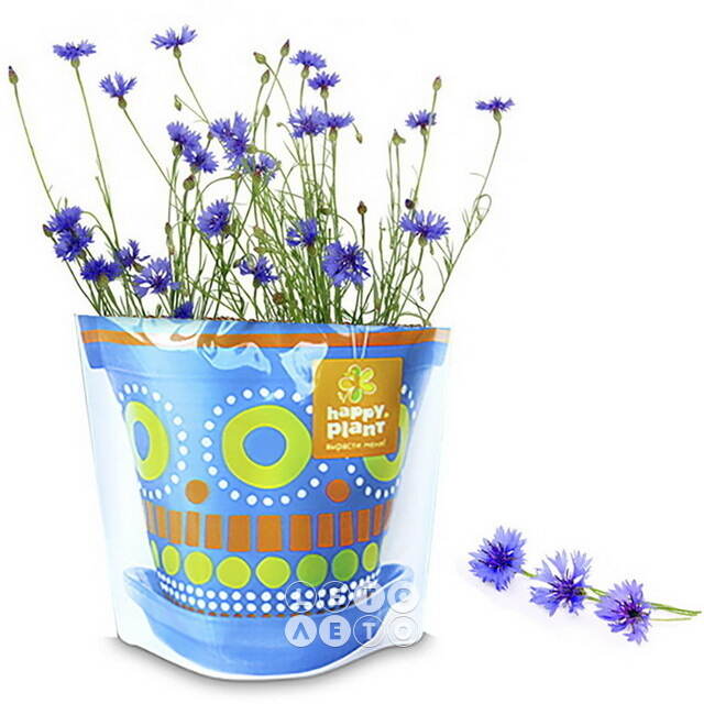 Набор для выращивания Василек Луговой Happy Plant