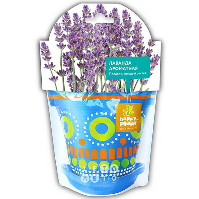 Набор для выращивания Лаванда ароматная Happy Plant