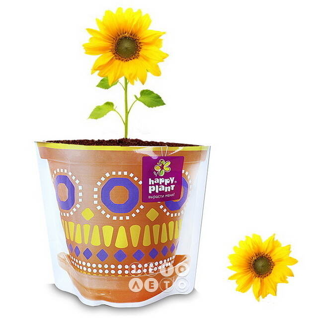 Набор для выращивания Подсолнух декоративный Happy Plant