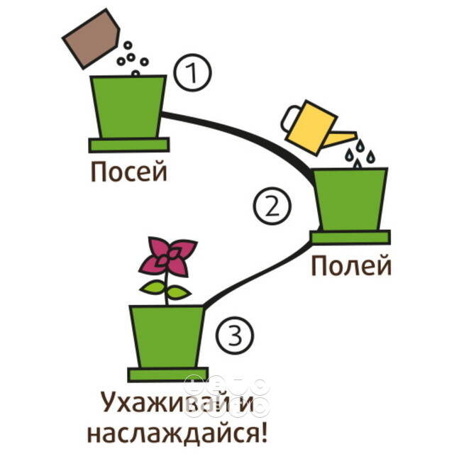 Набор для выращивания Руккола пряная в горшке Happy Plant