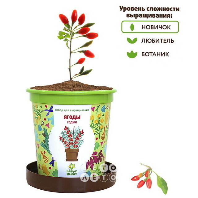 Набор для выращивания Ягоды Годжи в горшке Happy Plant