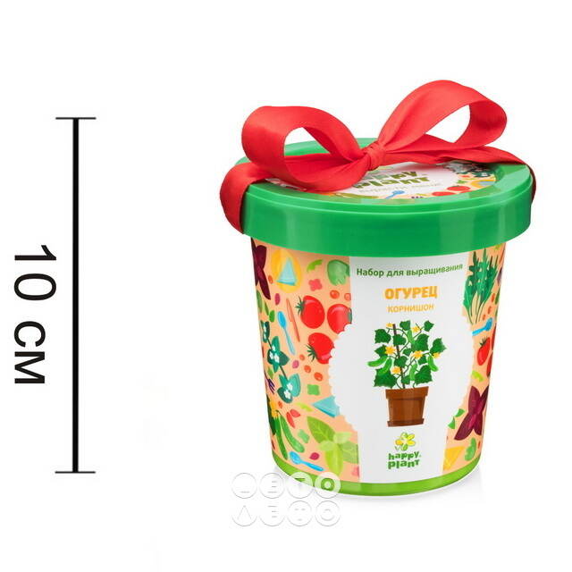 Набор для выращивания Огурец Корнишон в горшке Happy Plant