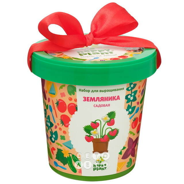 Набор для выращивания Земляника Садовая в горшке Happy Plant