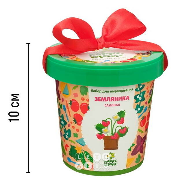 Набор для выращивания Земляника Садовая в горшке Happy Plant