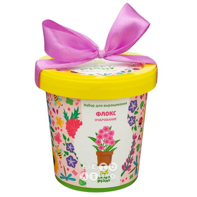 Набор для выращивания Флокс Очарование в горшке Happy Plant