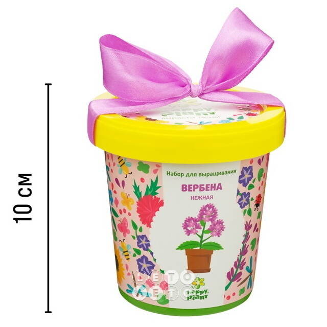 Набор для выращивания Вербена Нежная в горшке Happy Plant