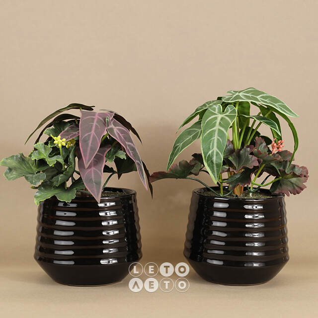 Искусственное растение в горшке Alocasia Purple 25 см Kaemingk
