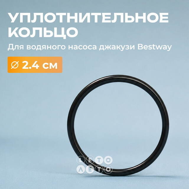 Уплотнительное кольцо водяного насоса для джакузи Bestway Lay-Z-Spa (Бествей Лей-Зи-Спа)  Bestway (Бествей)