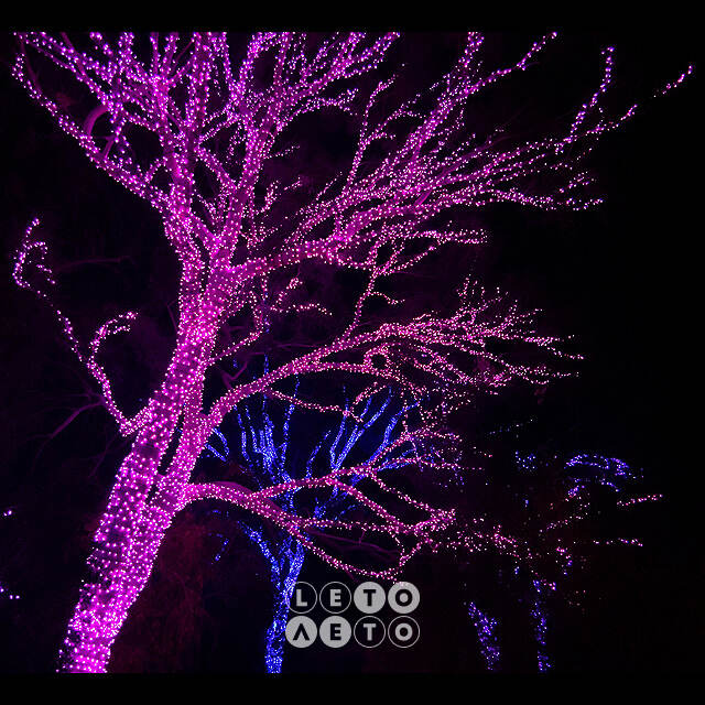 Гирлянды на дерево Клип Лайт Quality Light 30 м, 300 розовых LED ламп, черный ПВХ, IP44 BEAUTY LED