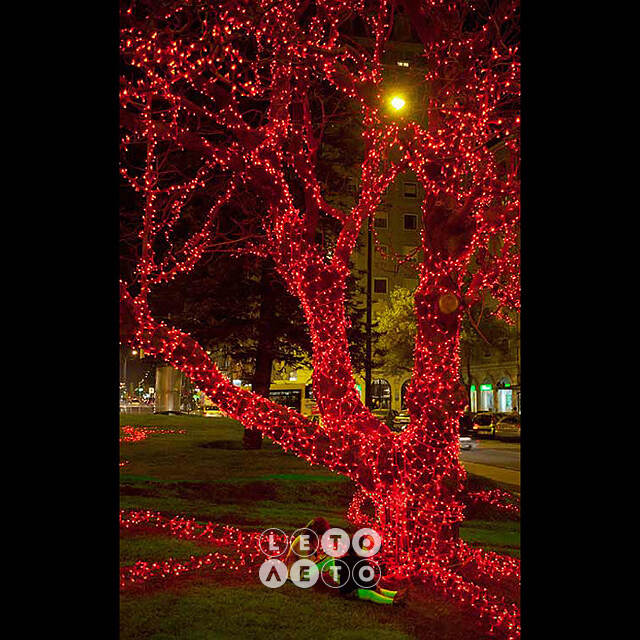 Клип Лайт - Спайдер Quality Light 30 м, 300 красных LED ламп, черный ПВХ, IP44 BEAUTY LED