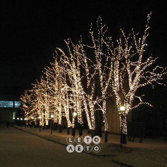 Клип Лайт - Спайдер Legoled 60 м, 450 теплых белых LED ламп, черный КАУЧУК, IP54 BEAUTY LED