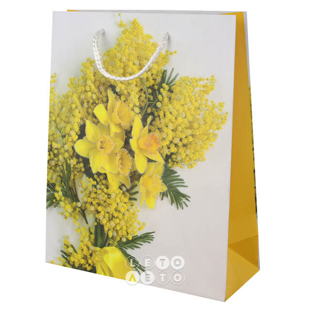 Подарочный пакет Mimosa 25*20 см Due Esse Christmas