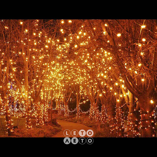 Клип Лайт - Спайдер Legoled 30 м, 225 желтых LED ламп, черный КАУЧУК, IP54 BEAUTY LED