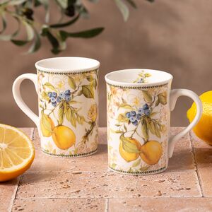 Набор чашек из фарфора Giardino di Limoni 2 шт