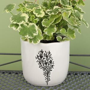 Декоративное кашпо Fiori Selvati 15*13 см, фарфор