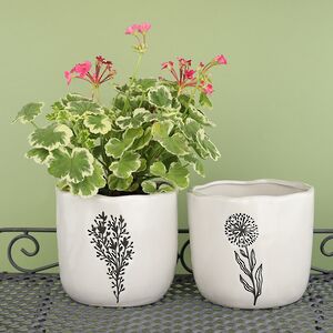 Декоративное кашпо Fiori Selvati 15*13 см, фарфор Koopman фото 3